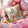 Character Cute-Peter Rabbit-Smart Pillow Case Anti-Dustmite Pillowcase Invisible Zipper Silky Short Plush Sofa Cushion Cover