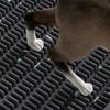 Cat Litter Mat Pet Toilet Waterproof Durable Pet Litter Box Mat Nonslip Sand Cat Washable Mat Clean Pad Pet Clean Supplies