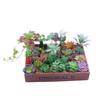 Diy Simulated Succulent Plant Hair Planting, Mini Fake Succulent Bonsai With Flower Arrangement, Simulated Plant