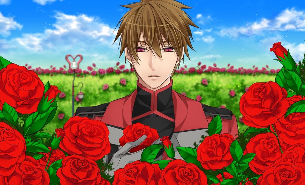 New Edition Alice In the Country of Hearts