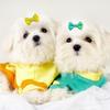 10/20Pcs Dot Pet Grooming Hair Clips Dog Cat Bows Hairpin Pet Girls Barrette for Small Dogs Supplies Pet Hair Grooming Acce