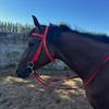 Comfortable Horse Bridle Headband Adjustable Strap Horse Bridle Training Rope  Horse Gear
