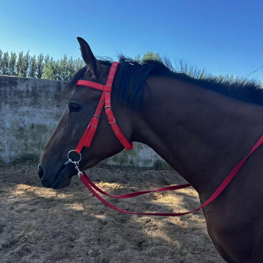 Comfortable Horse Bridle Headband Adjustable Strap Horse Bridle Training Rope  Horse Gear