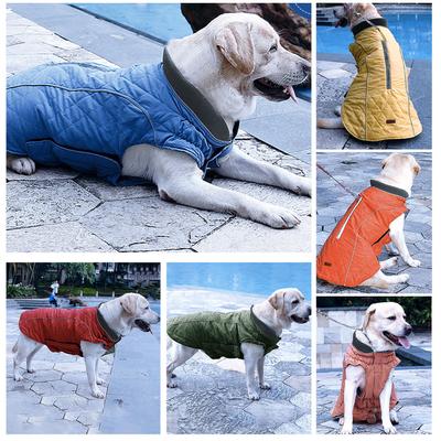 Giyim ve ayakkabı – Köpekler İçin Ceketler ve Montlar