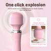 2 In 1 Heating Vibrator With 10 Frequency Vibrating AV Massage Stick for Women G Spot Clitoris Stimulator Sex Toys for Women