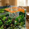 Transparent Fish Tank Feeder Plastic Fish Feeding Basin Aquarium Feeding Bowl  Food Dispensing