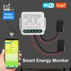 Smart Tuya Wifi Energy Meter Solar PV System Power Production Consumption Bidirectional Monitoring Meter 80A AC100-240V 50/60HZ