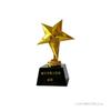 Customized Plastic Crystal Little Star Small Trophy, Commemorative Celebration, Children's Activity Gift, Home Decoration, 1Pc