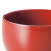 Lacquerware Made in Japan J-kitchens Bowl, Hand-Painted, PID-528404,