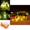 String Led Halloween Lights Pumpkins Spiders Skeleton Window Decor Lights Fairy