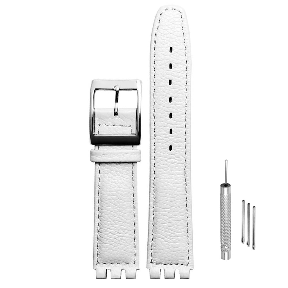 ZHUOLEI Swatch Watch Includes 3 Spring Spring Bar and Box Strap, 17mm/19mm, Bars, Remover,