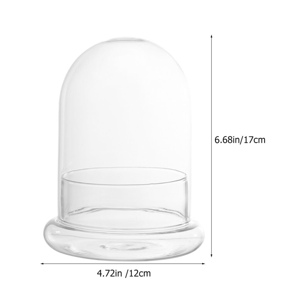 YARNOW Terrarium Container, Glass Micro Landscape Bottle, 6.7" x 4.7", Clear Display Dome for Indoor Use, DIY Decor