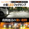 HID shop fog lamp LED H3 2 color switching white