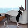 Italienischer Windhund Baumwoll-Raglan-Overall, Integrierte Ellbogen-Stützpolster | Passt für Whippet Langarm-T-Shirt | Premium Gekämmte Baumwolle