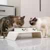 Double Bowl Design Cat Food Plate Stainless Steel Cat Rice Plate Cat Bowl  Pet Care