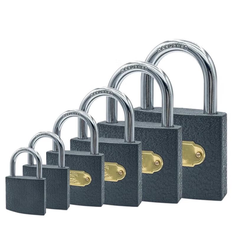 

SIBEISONG 50mm Iron Padlock CN plug (adapter included)