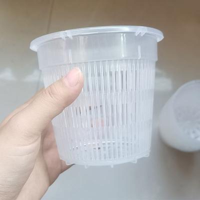 11/14/16/19cm Root Control Transparent Flower Pot Phalaenopsis Orchid Control Planting Flowerpot  With Stomata Home Decor