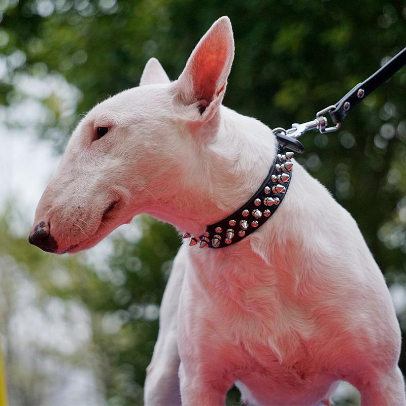 PU Dog Collar with Spike Rivet Adjustable Anti-Bite Pet Collars for Small Medium Large Dogs Bull Terrier Doberman Pinscher