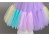 Children's Color Block Mesh Princess Dress for Special Occasions
