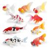 Ornamental Fish Model: Red-crowned Crane & Skygazer Dragon with Water-bubble Eye Shubunkin Goldfish Koi