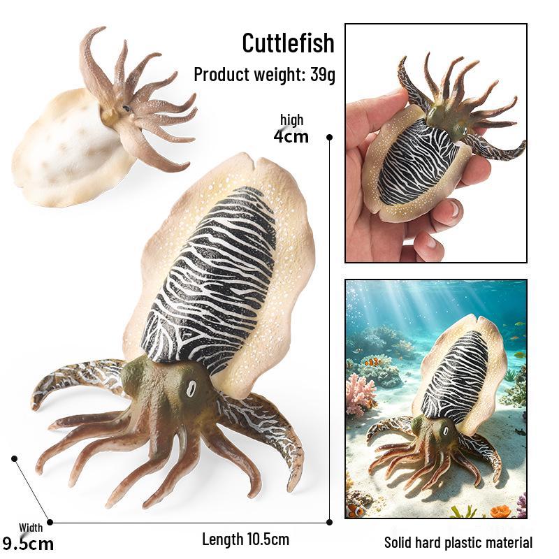 Simulationsmodelle von Meerestieren: Qualle, Oktopus, Meeresgarnele, Seeanemone, Tintenfisch, Pfeilschwanzkrebs, Flusskrebs, Pfeilkraut