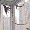 Non-slip DIY Bendable Perch for Birds Linen Rope Parrot Standing Perch  Cage Enrichment