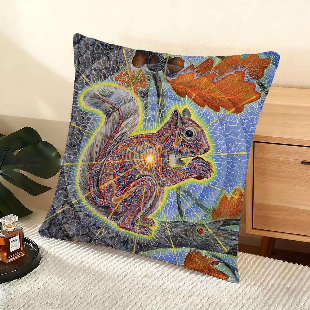 A-Alex G-Grey Trippy Cushion Cover Soft Short Plush Pillow Cover Smooth Cozy Texture Aesthetic Cushion Case Home Decor