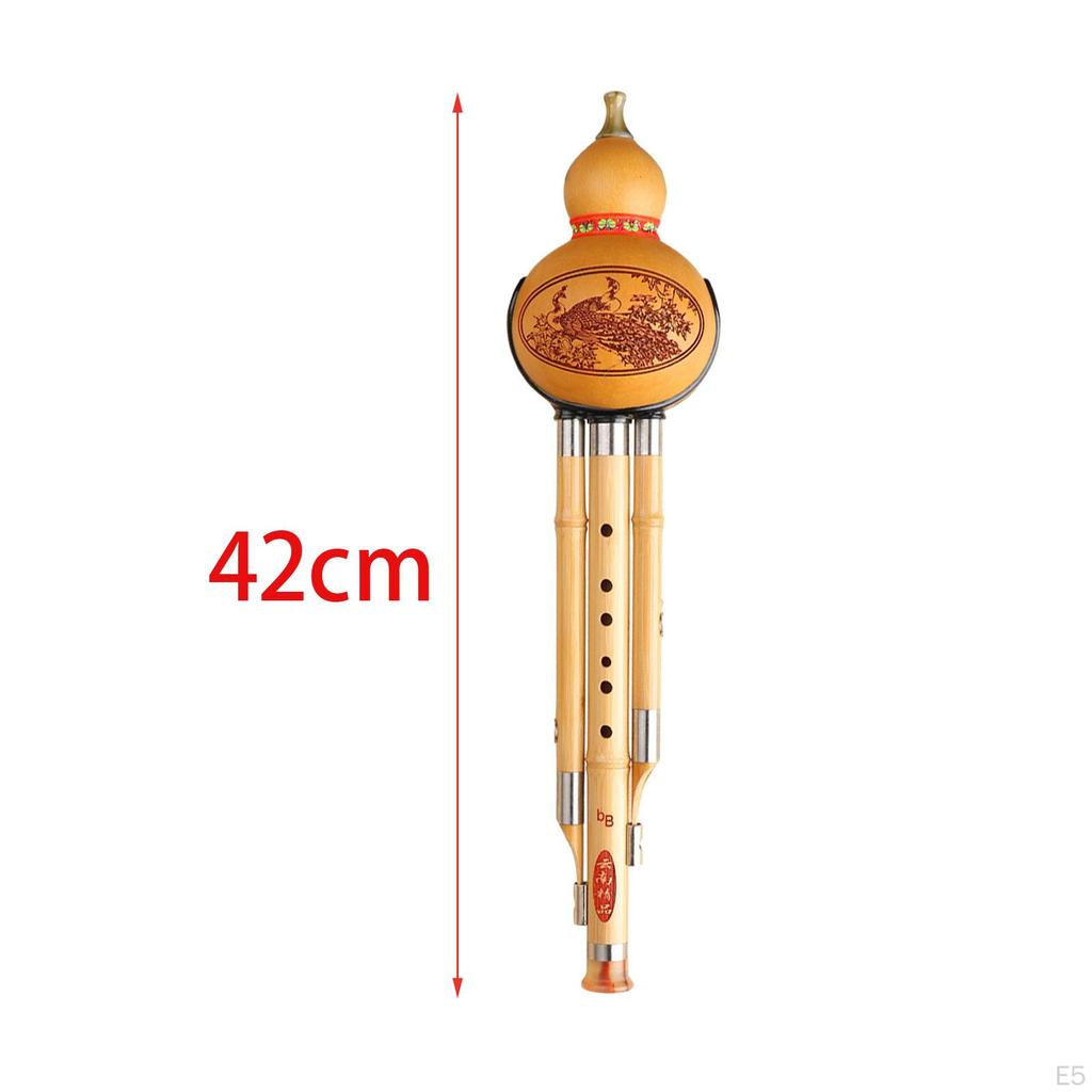 Bamboo Hulusi Gourd Cucurbit Flute with Storage Bag Case, Professional Traditional Wind Instrument