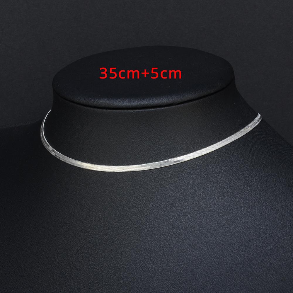 2025 High Quality Clavicle Blade Chains Dropshipping Women Gold Silver Color Stainless Steel 35+5cm Snake Choker Necklace Chain