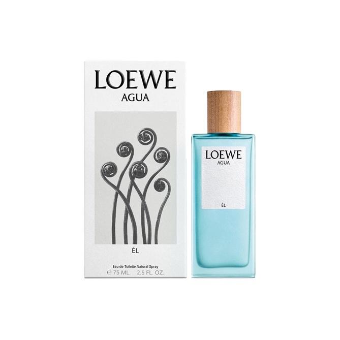 LOEWE Homme Туалетная вода Мужские духи Фруктовый аромат Туалетная вода