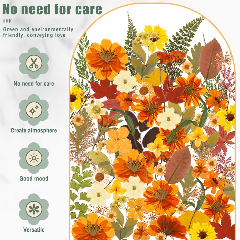Dried Flower Making Versatile Dried Autumn Flowers Leaf Beautiful Dried Pressed Flowers for DIY Resin Mold Handicraft Enthusiast