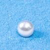 Micro-landscape Marine Shells Pearls Aquariums Fish TanksDecorative ItemsHanging Accessories Small Ornaments