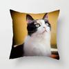 Cute Cat Sofa Pillowcase Cushion Cover     Bed Home Living Room Car Office