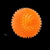 EETOYS Spiky Squeaky Chew Ball Dog Toy