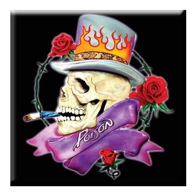 Skull Fridge Magnet