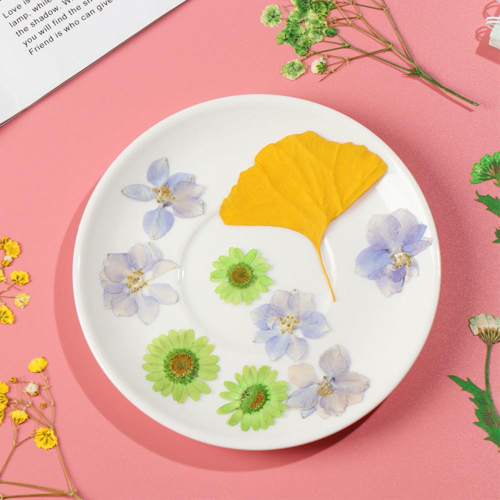 Real Natural Dried Flowers Pressed Flowers Resin Mold Fillings Flower for DIY Candle Resin Crafts Jewelry Nail Art Beauty Decal