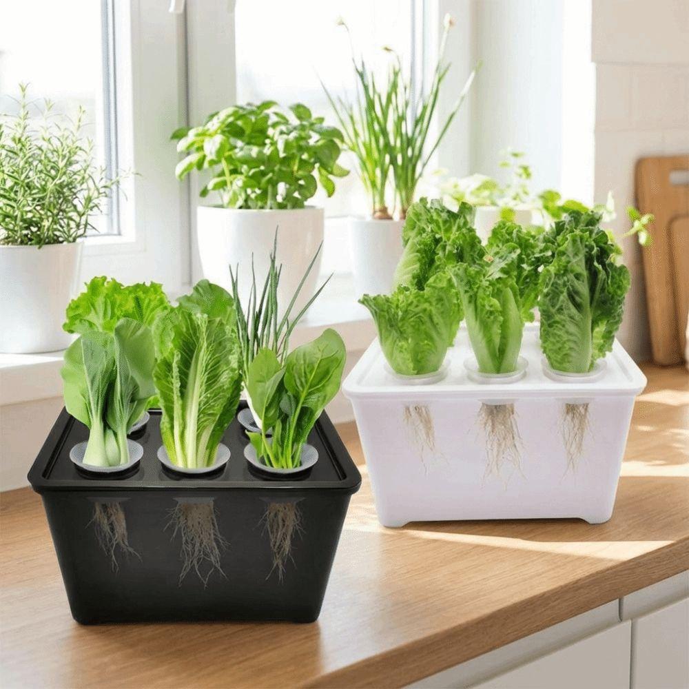 Plastic Soil-Free Planting Box Self Watering Nursery Pots  Vegetable Growing