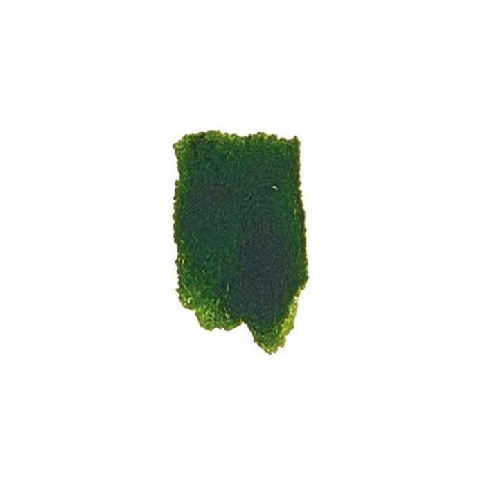 Peinture Aquarelle - Vert mousse - 1/2 godet