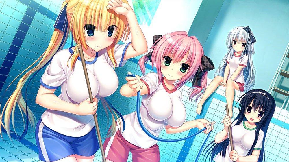 Wagamama High Spec First Limited Edition Original Mini and Set of 2 Mini Colored PSVita (Bonus Soundtrack, Artbook, Papers) -