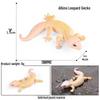 Ring-Tailed Lemur Heart Model - Children's Cognitive Toy and Birthday Gift