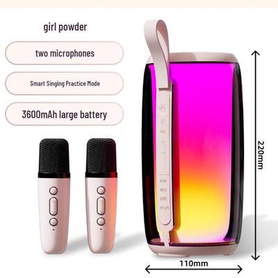 Newman M18 Wireless KTV Speaker with Dual Microphones CN Plug (adapter Included)
