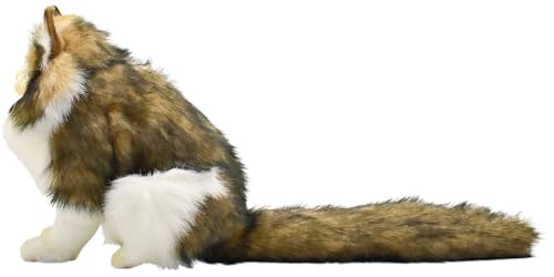 BH8154 HANSA Norwegian Forest Cat 35