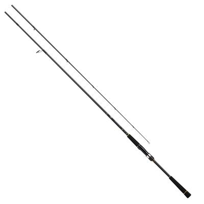 Daiwa Stang 21 Seabass Hunter X 93ML/R