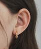 Judy And Paul Wave Hoop Earrings