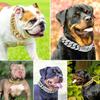 Starkes Metall Titan Massiver Stahl Halsband 32mm Edelstahl Gold Hundehalsband Beschriftung Individuelle Kette Bully Französisch Kampf Großer Hund