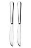Boston Silver Dinner Table Knife, 2 Pieces