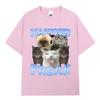 Summer freak funny watermelon cat meme Graphic T Shirt Men Women Silly Kitten Lover T Shirt Fashion cotton oversized T shirt