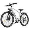 TOOFLY T8 Erwachsenen Elektrofahrrad Max. Geschwindigkeit 41 km/h 48V9.9Ah Akku Stadtwander E-Bike 26*1.95 Zoll Reifen Erwachsenen Elektrofahrrad