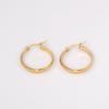 Trendy Hoop Earrings Stainless Steel Gold Plated Round Huggie Earrings For Women Party Jewelry Gifts Accessories