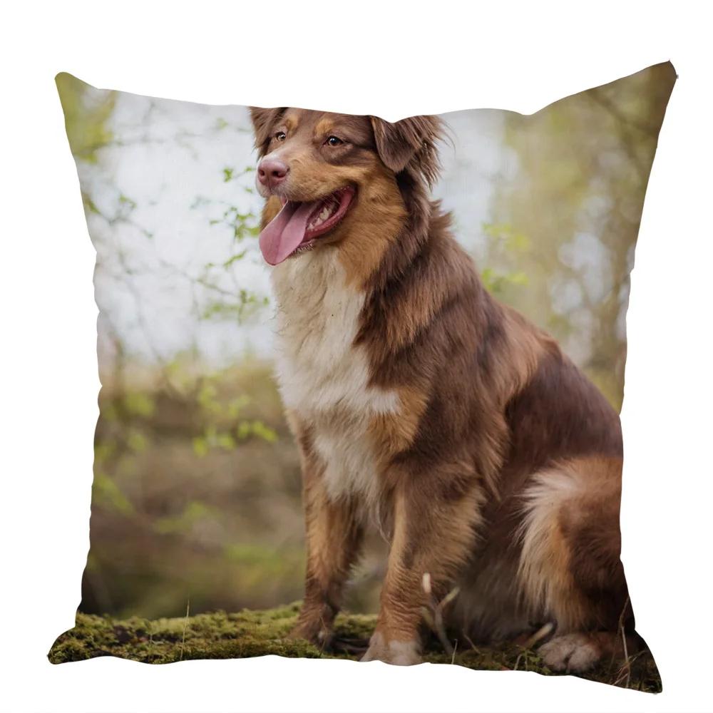 Cute Australian Shepherd Dog Pillow Case Peach Skin Decor Pet Animal Cushion Cover Thorw Pillowcase for Sofa Home Car 45x45cm